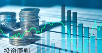 初学者投资原则