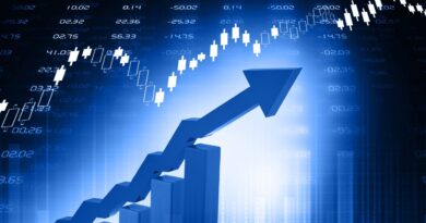 2025中国市场变革