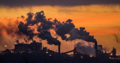 中国气候行动工业增长