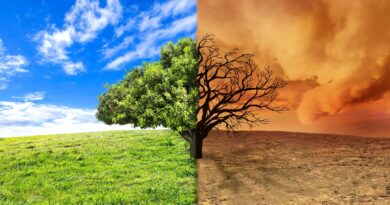 中国碳中和目标