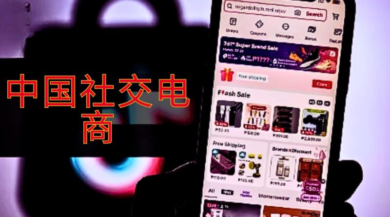 中国社交电商