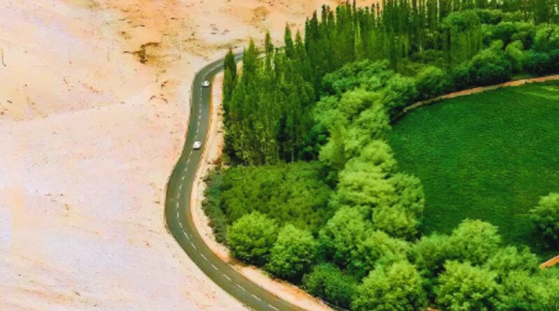 中国绿色长城项目