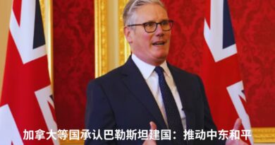 巴勒斯坦建国承认