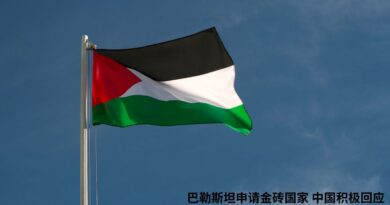 巴勒斯坦申请金砖国家