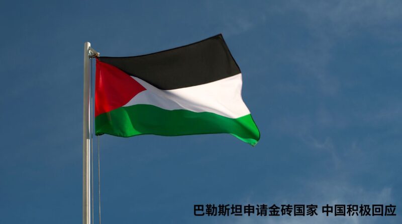 巴勒斯坦申请金砖国家