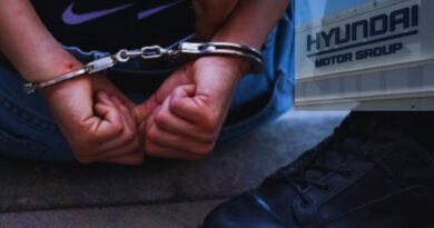 现代工厂移民逮捕