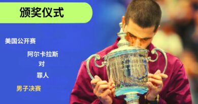 美网阿尔卡拉斯冠军