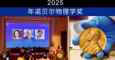 2025年诺贝尔物理学奖 (1)