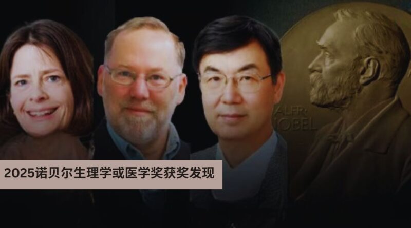 2025诺贝尔医学奖