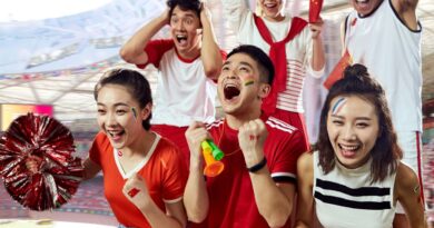 中国青年反文化