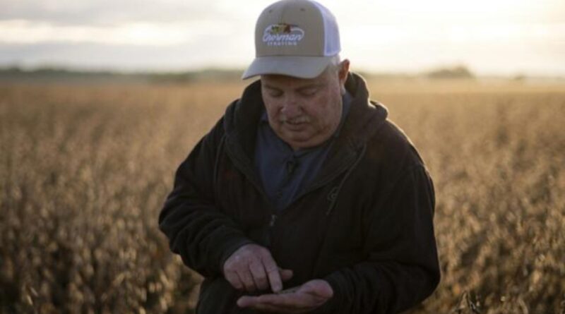 中美贸易争端冲击美国大豆农户与出口市场