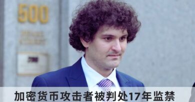 加密货币攻击者被判17年