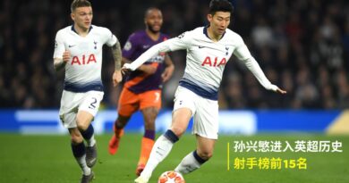 孙兴慜 英超射手榜