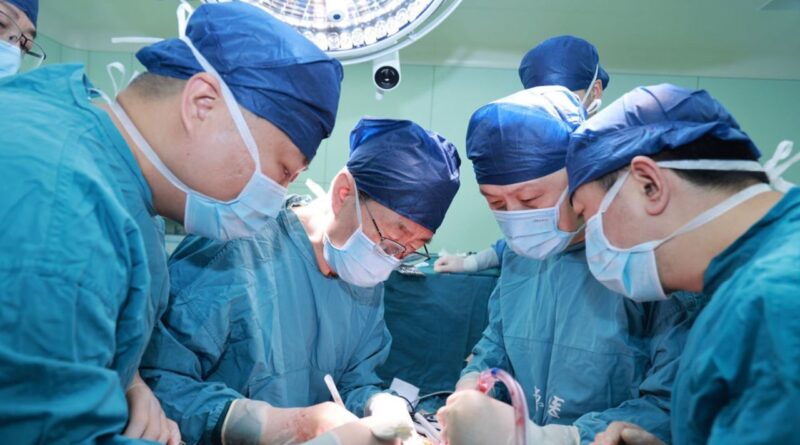 猪肝移植 中国男子 170天