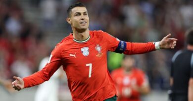 罗纳尔多世界杯预选赛最佳射手