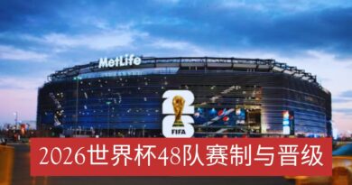 2026世界杯48队