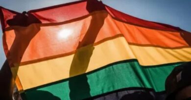 中国蓝化 财产禁令