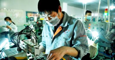 中国快速增长行业-