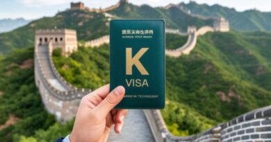 中国新签证类别