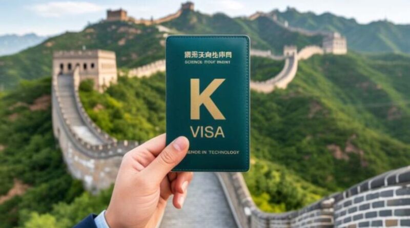 中国新签证类别