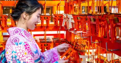 中国消费者品牌偏好