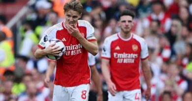 阿森纳 英超 半程报告