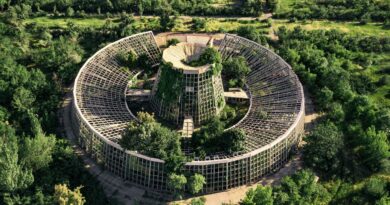 2026年中国大陆生物能源项目