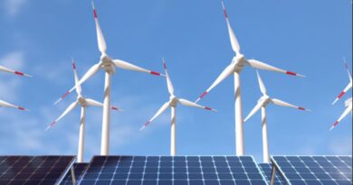 2026年澳门新能源项目