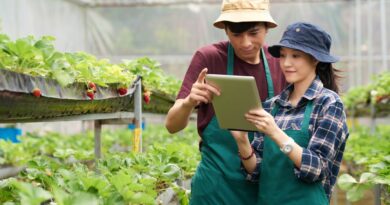 2026年马来西亚农业科技趋势