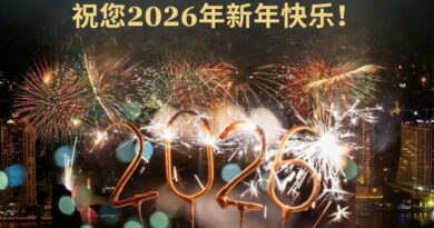 祝您2026年新年快乐