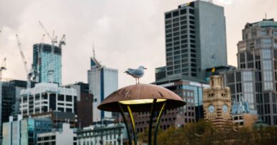 Cidades inteligentes em Timor-Leste