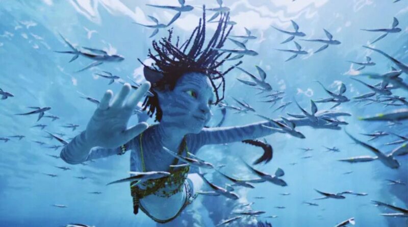 阿凡达3 中国首周末票房1亿美元