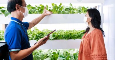 中国农业科技食品创新