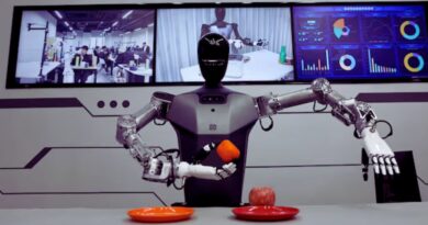 中国类人人工智能规则