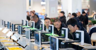 中国电子商务价格禁令