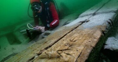 亚历山大附近的古埃及游艇