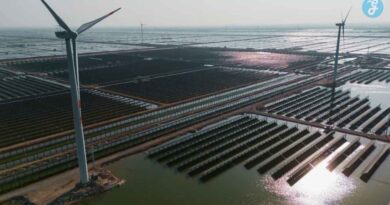 太阳能凝胶提取硼