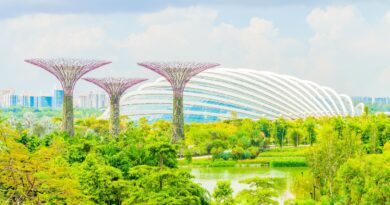 新加坡2026清洁能源项目