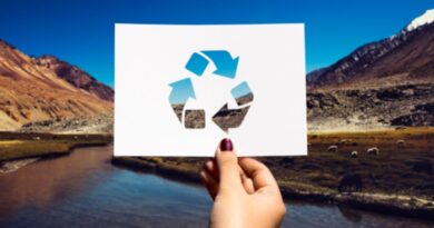 新加坡循环经济 2026