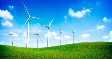 新加坡生物能源与垃圾发电