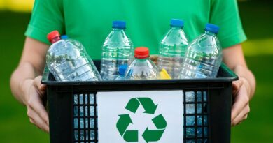 马来西亚循环经济