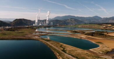 马来西亚的生物能源和垃圾发电项目