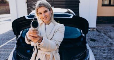 2026年中国电动汽车赢家