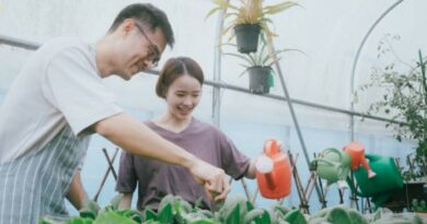 新加坡农业科技食品创新