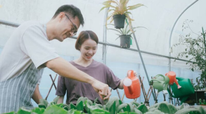 新加坡农业科技食品创新