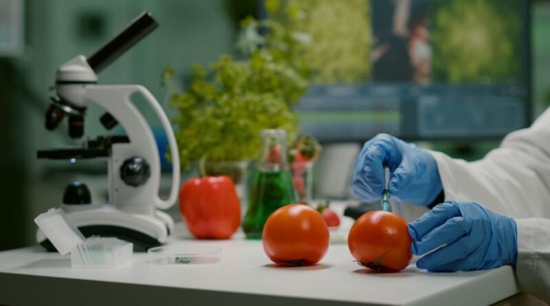 2026年澳门农业科技与食品创新