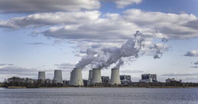 2026年澳门十大生物能源及垃圾发电项目