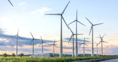 2026年生物能源和垃圾发电项目