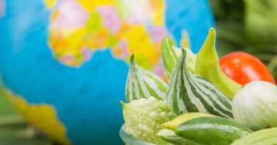 圣多美和普林西比循环经济