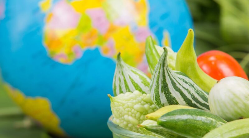 圣多美和普林西比循环经济